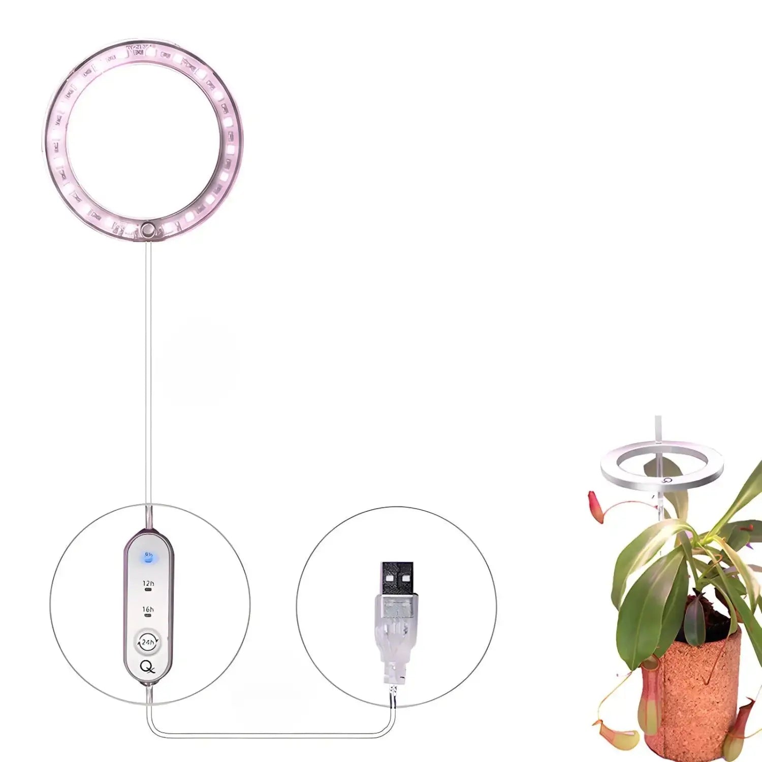 LED Grow Light Full Spectrum Angel Ring USB Lamp for Indoor Plants