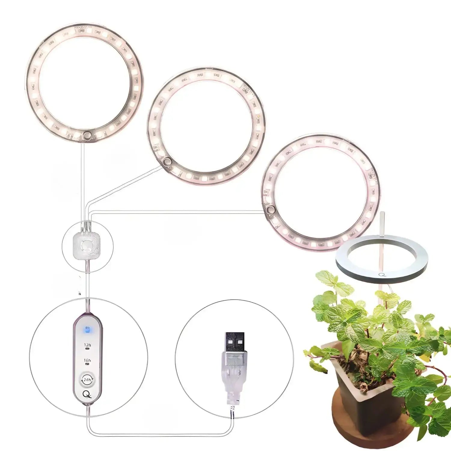 LED Grow Light Full Spectrum Angel Ring USB Lamp for Indoor Plants