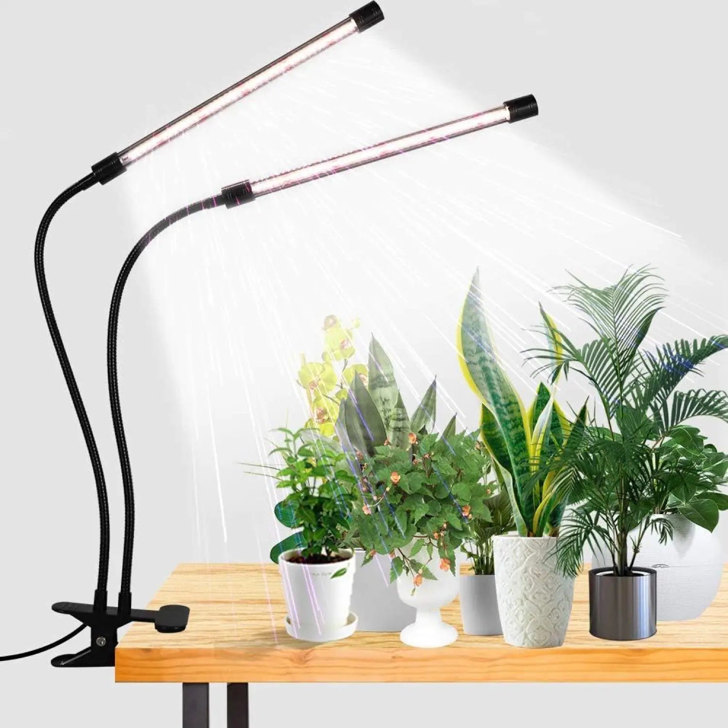 LED Grow Light Lamp USB Phyto Full Spectrum
