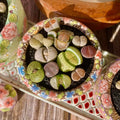 [10-Day Pre-sale] Lithops Living Stones