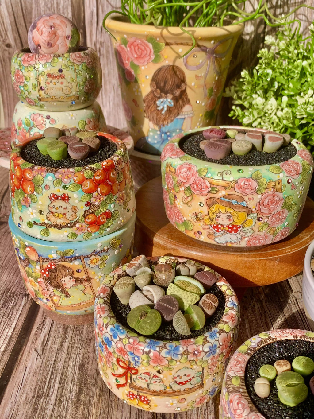 [10-Day Pre-sale] Lithops Living Stones