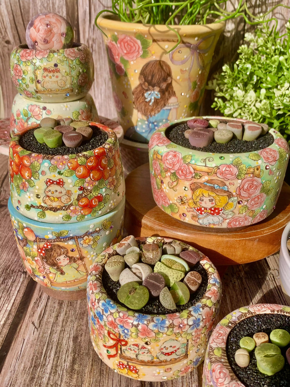[10-Day Pre-sale] Lithops Living Stones
