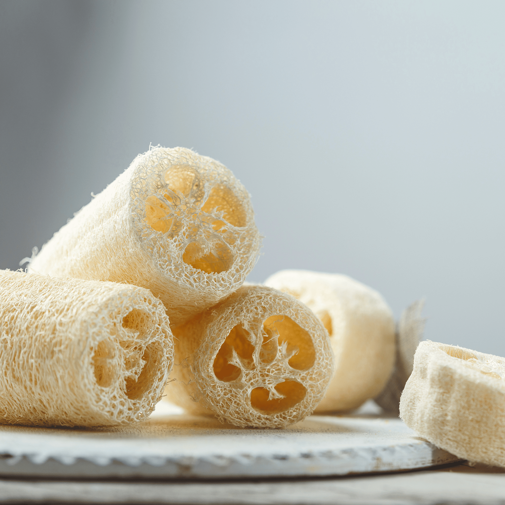 Luffa Gourd – 20 Seeds