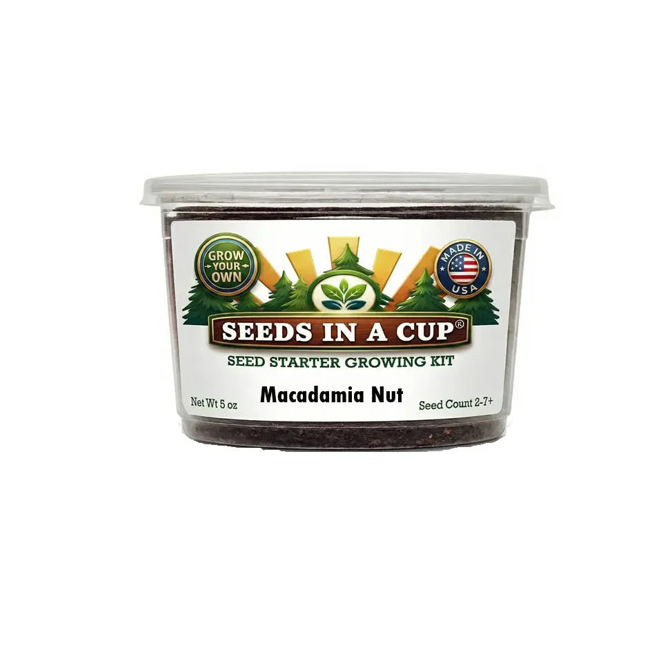 Macadamia Nut Tree Grow Kit | Grow Macadamia from Seed | Seeds In A Cup®