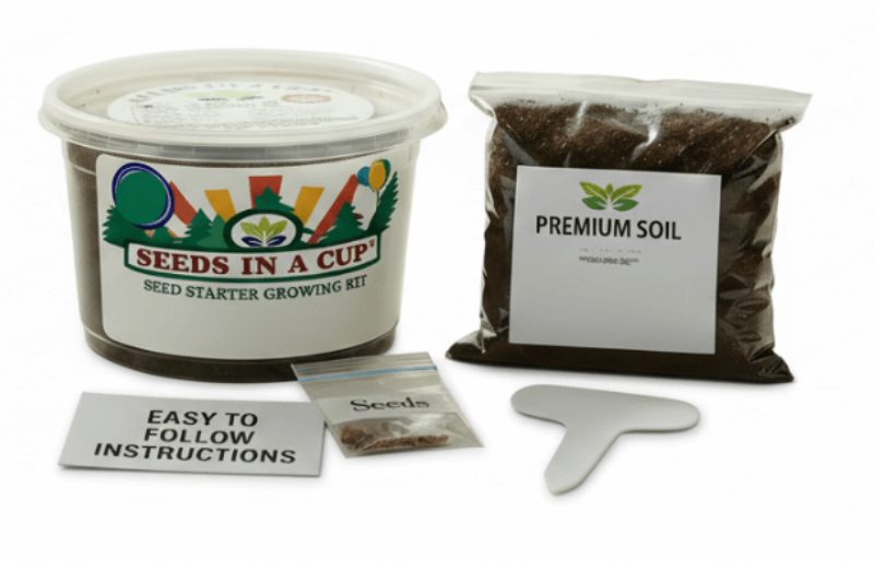 Judas Tree Grow Kit - Learn How to Start Growing A "Judas" Tree from Seed | Seeds In A Cup®