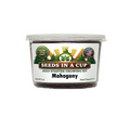 Mahogany Tree Grow Kit
