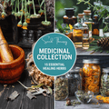 Medicinal Herb Seed Collection – 15 Varieties for Herbal Wellness, Traditional Apothecary, Organic Gardening, Homegrown Herbs