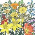 Mediterranean Dryland Wildflower Mix (1/4 lb)