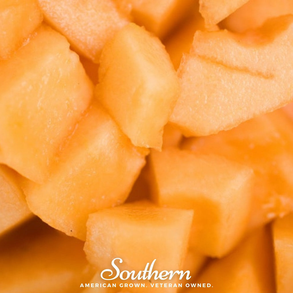 Planter’s Jumbo Melon – 50 Seeds