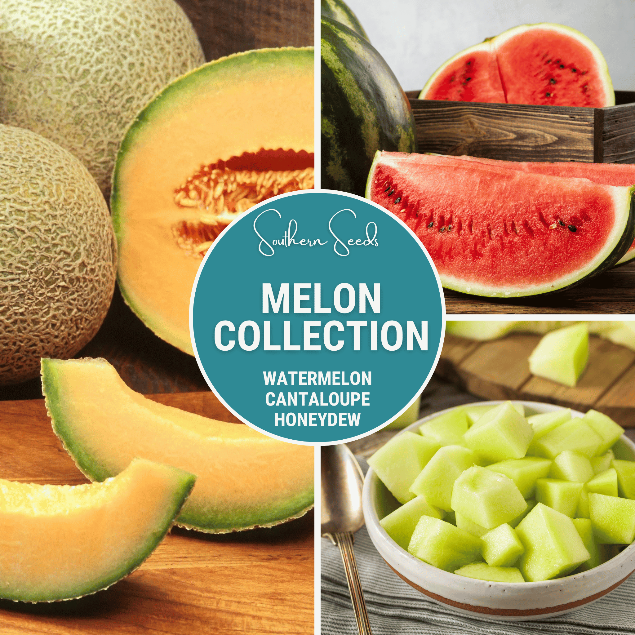Melon Seed Collection (Watermelon • Cantaloupe • Honeydew)