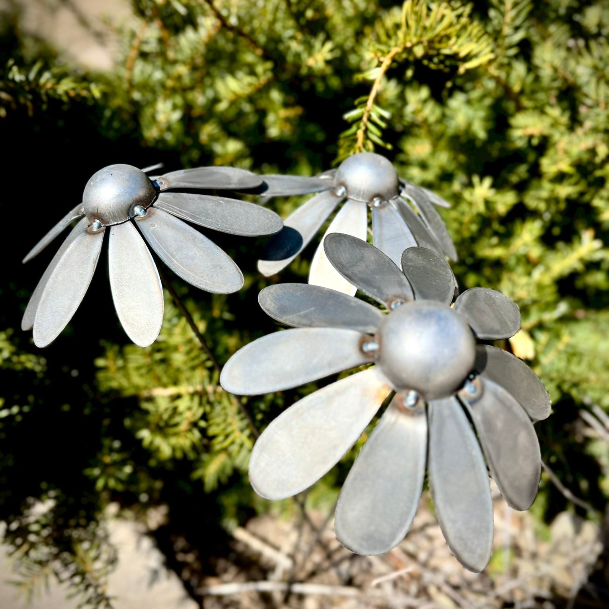 Metal Coneflowers | Yard Art