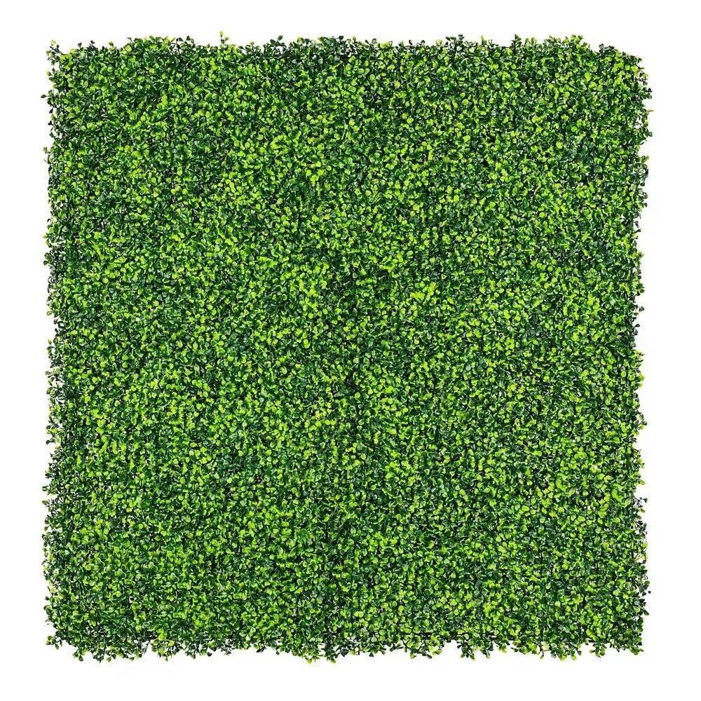 Sample Panel – Mixed Boxwood Green Wall (Small Sample)