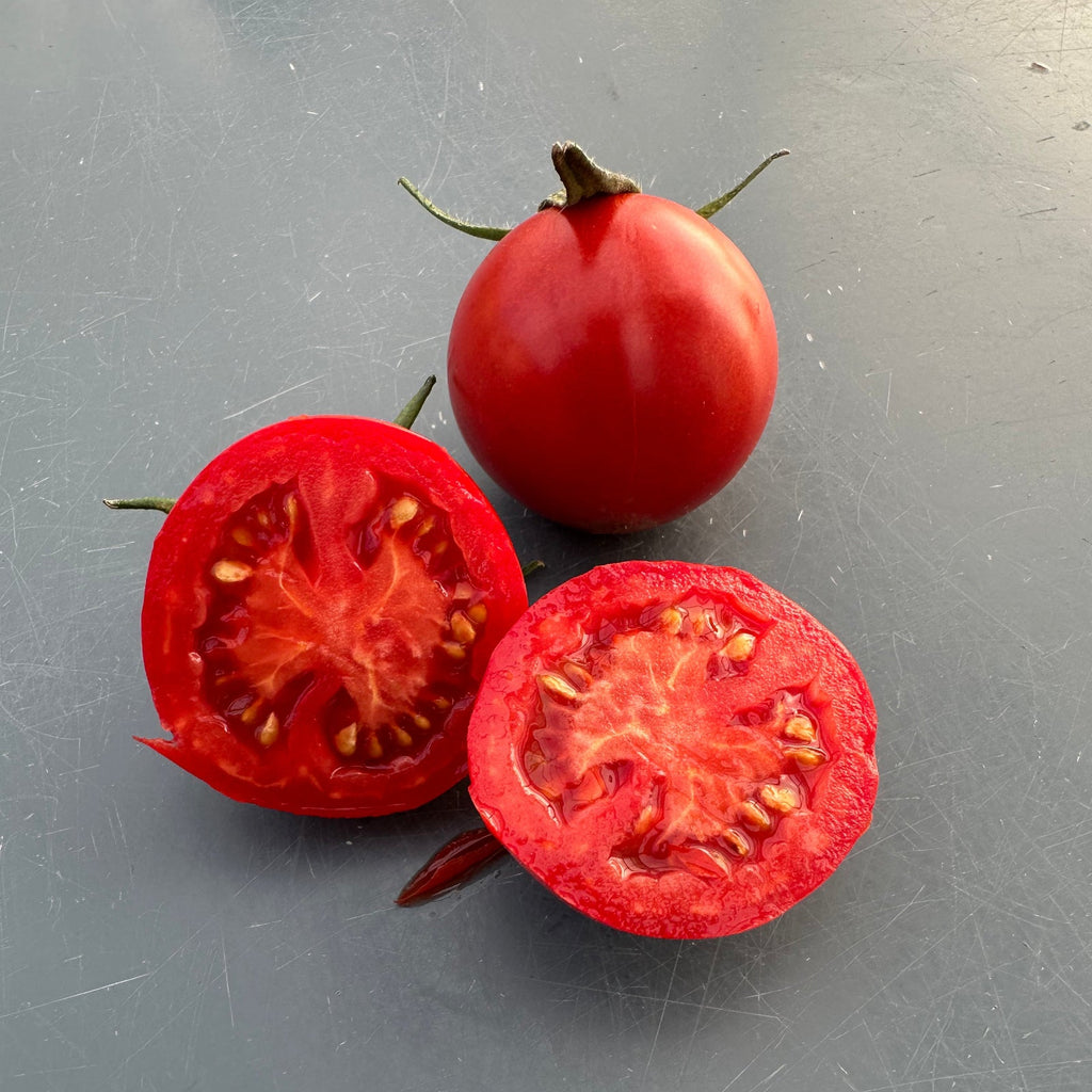 Mortgage Lifter Tomato Seeds