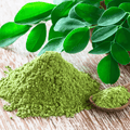 Moringa – 10 Seeds
