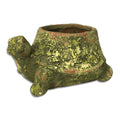 Mossy Terracotta Turtle Planter