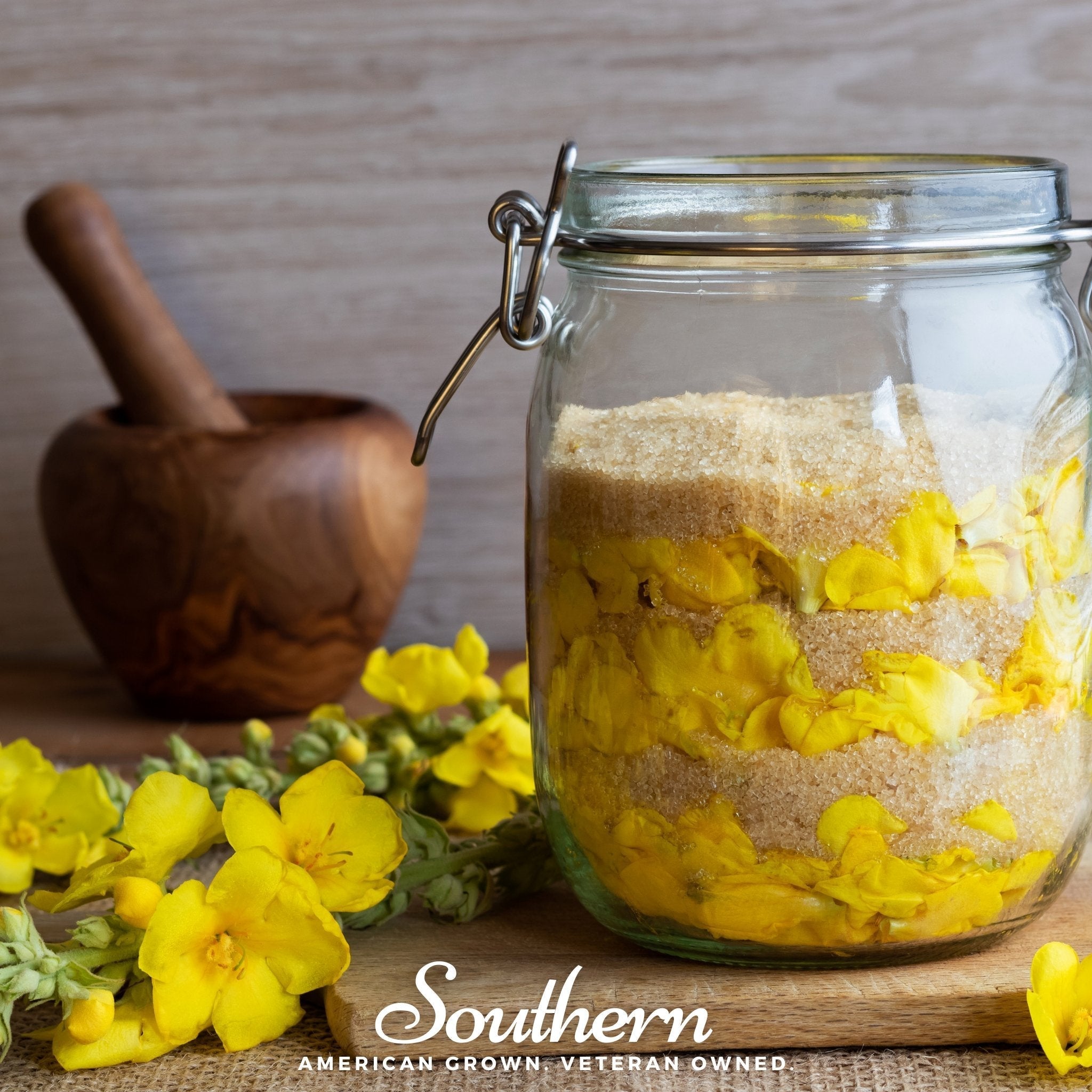 Mullein – 200 Seeds