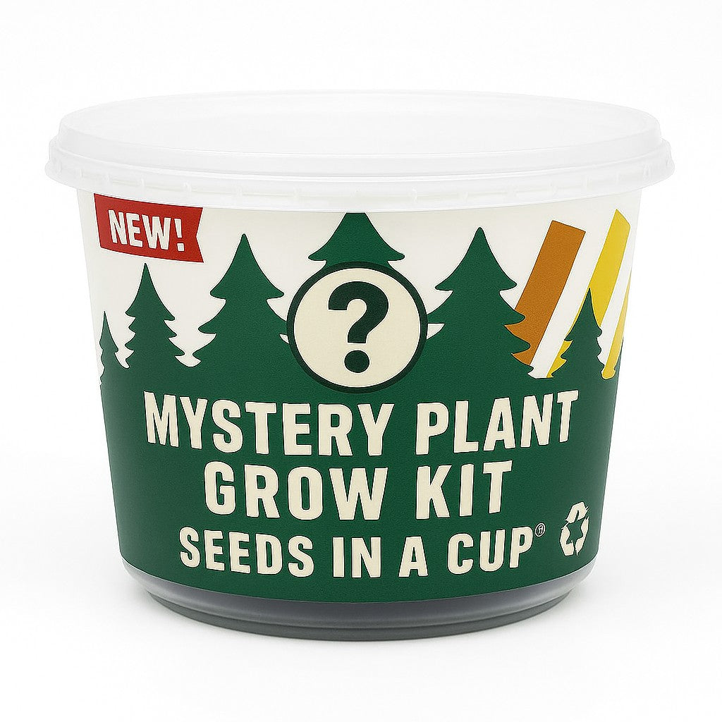 Mystery Plant Grow Kit — Surprise Seeds in a Cup® with Premium Soil, Non‑GMO Seeds, Dual‑Purpose Lid/Saucer, and Easy How‑to‑Grow Instructions