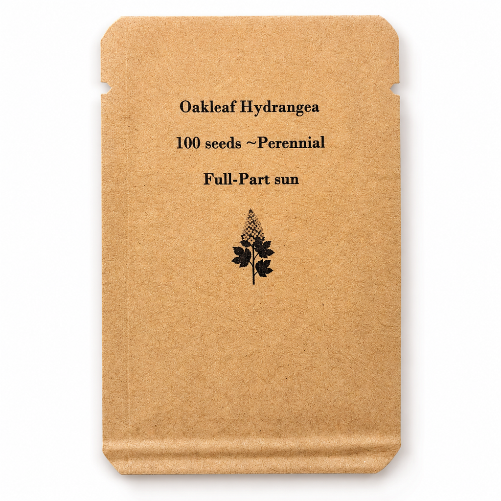 Oakleaf Hydrangea Seeds – Hydrangea quercifolia – Native Flowering Shrub – 100 Seeds – Zones 5–9