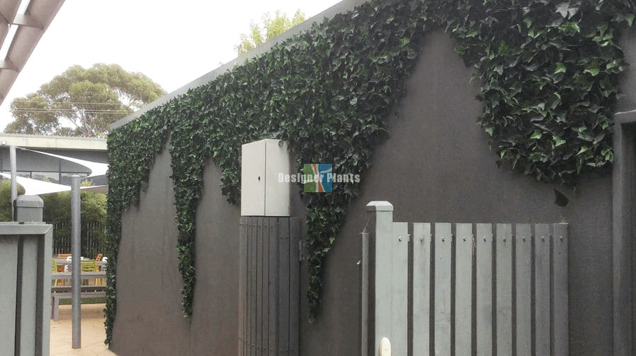 Sample Panel – Boston Ivy Green Wall (Small Sample)