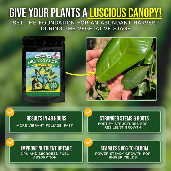 Organo Grow Grower Sizes