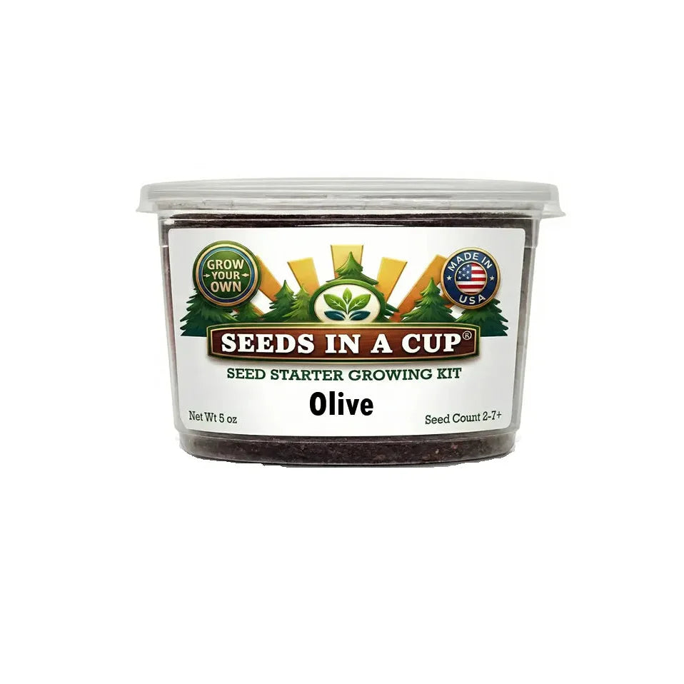 Olive Tree Grow Kit | Grow Mediterranean Olive from Seed | Seeds In A Cup®