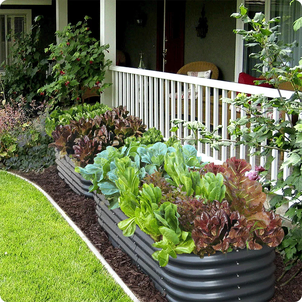 Olle Gardens 17" Tall, 12-in-1 Raised Garden Bed