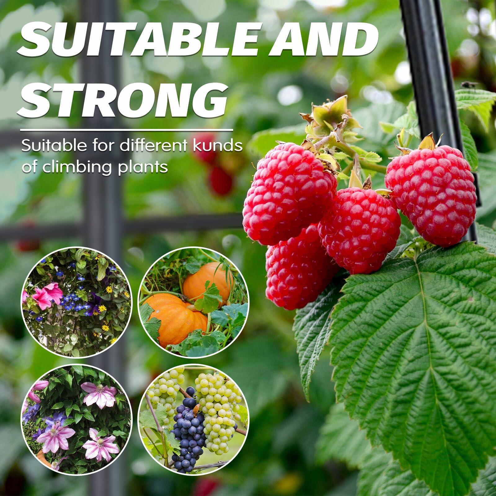 GOTRUTH Obelisk Trellis with Planter Boxes 63" Rustproof Outdoor Plant Support