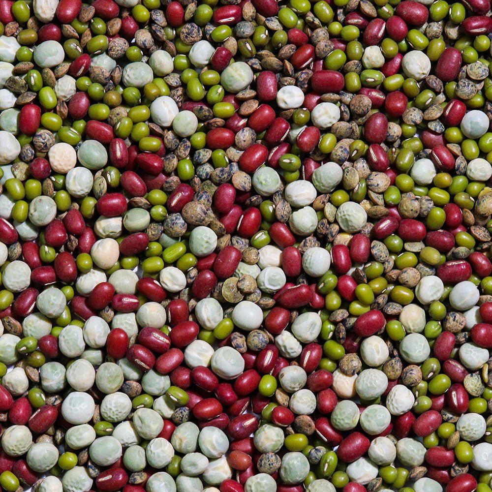 Organic Crunch Time Sprouting Seed