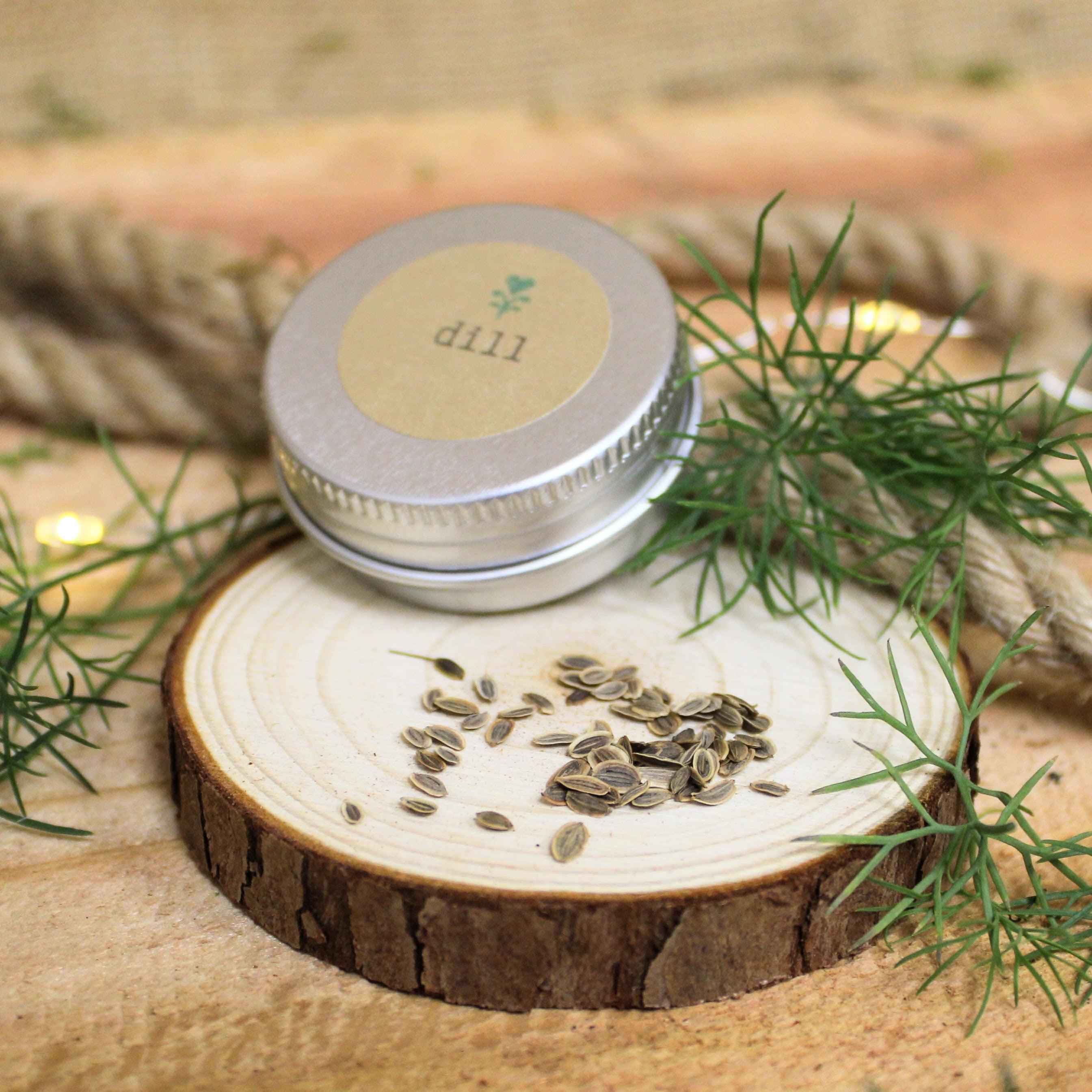 Organic Dill Seeds