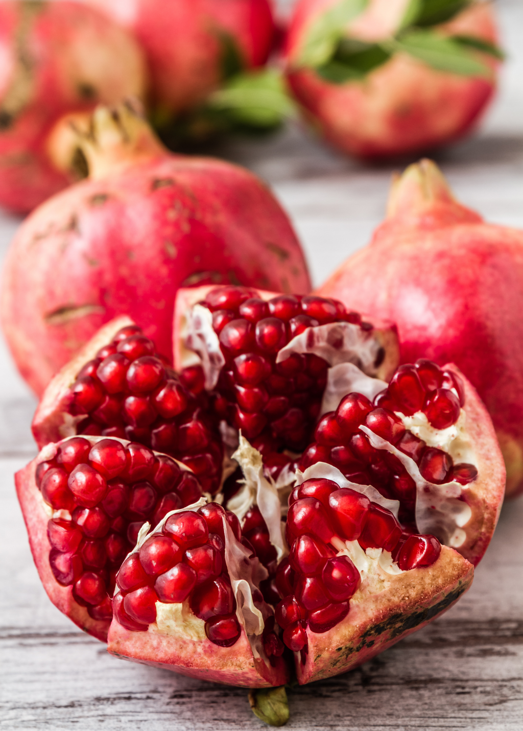 Pomegranate 'Parfianka' (Punica granatum)