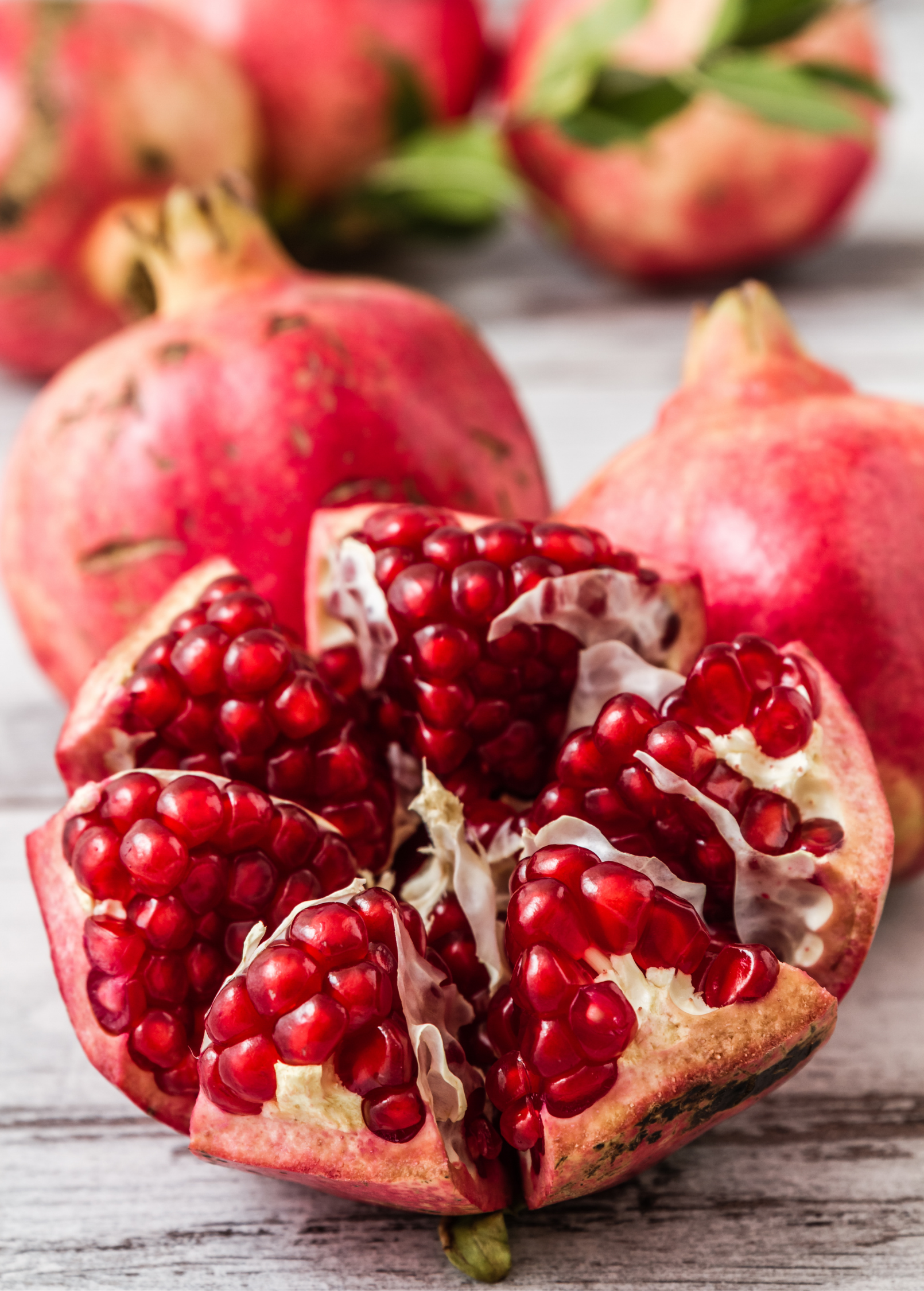 Pomegranate 'Parfianka' (Punica granatum)