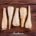 Harris Model Parsnip Seeds – Heirloom, Open Pollinated, Non-GMO, 100 Seeds, All America Selection Winner