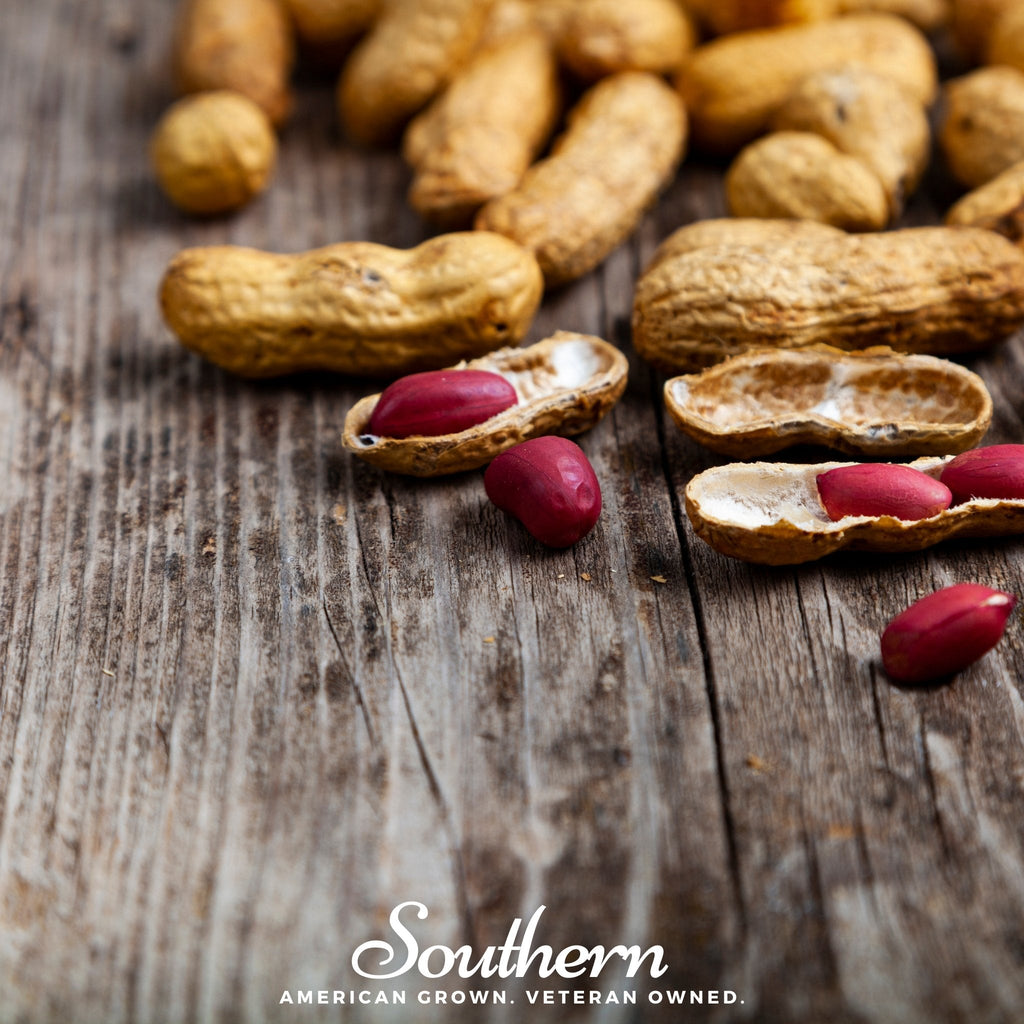 Red Shell Peanuts Tennessee Red Peanuts – 10 Seeds – Nate's Garden Supply