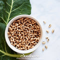 California Blackeye Pea Seeds – Heirloom Cowpea for Soups, Stews & Southern Cuisine, 50 Seeds
