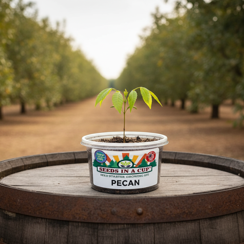 Tree & Vine Growing Kit - Choose Your Tree Type