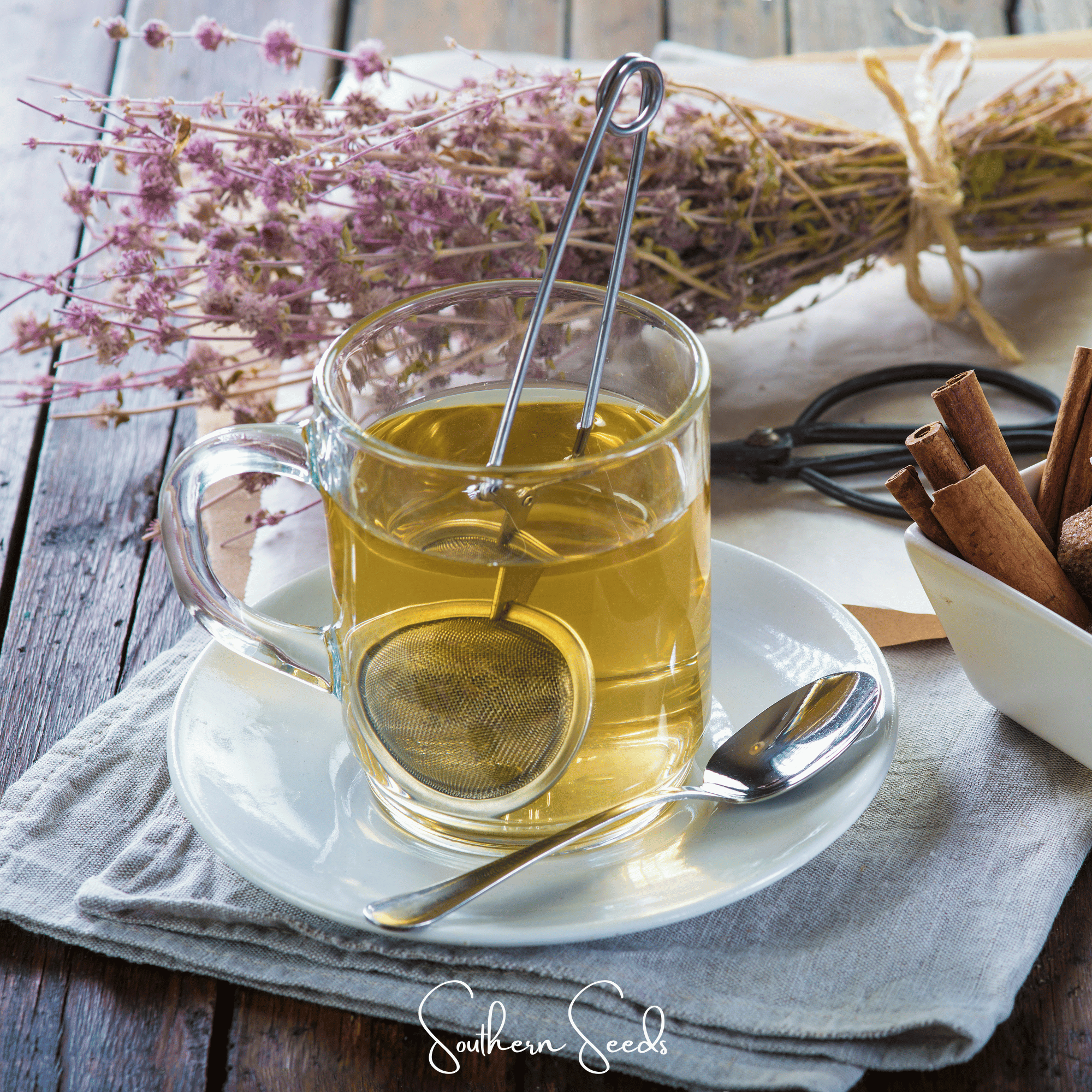 Pennyroyal – 100 Seeds