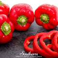 Big Red Sweet Bell Pepper Seeds | Heirloom, Open Pollinated, Non-GMO | 30 Seeds, Large Blocky 4-Lobed Peppers, Sweet Flavor, USDA Zone 3-9