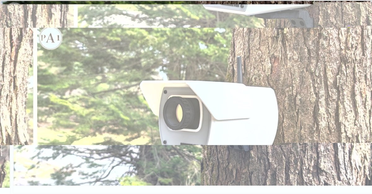 PerchCam Birdhouse – Realistic Security Camera Style Bird House for Modern Outdoor Decor