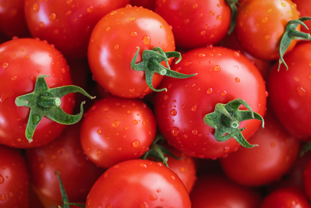 1 Oz Bulk ITALIAN TREE TOMATO 'Trip L Crop' Seeds - 1 Ounce = Approx 9500 Seeds