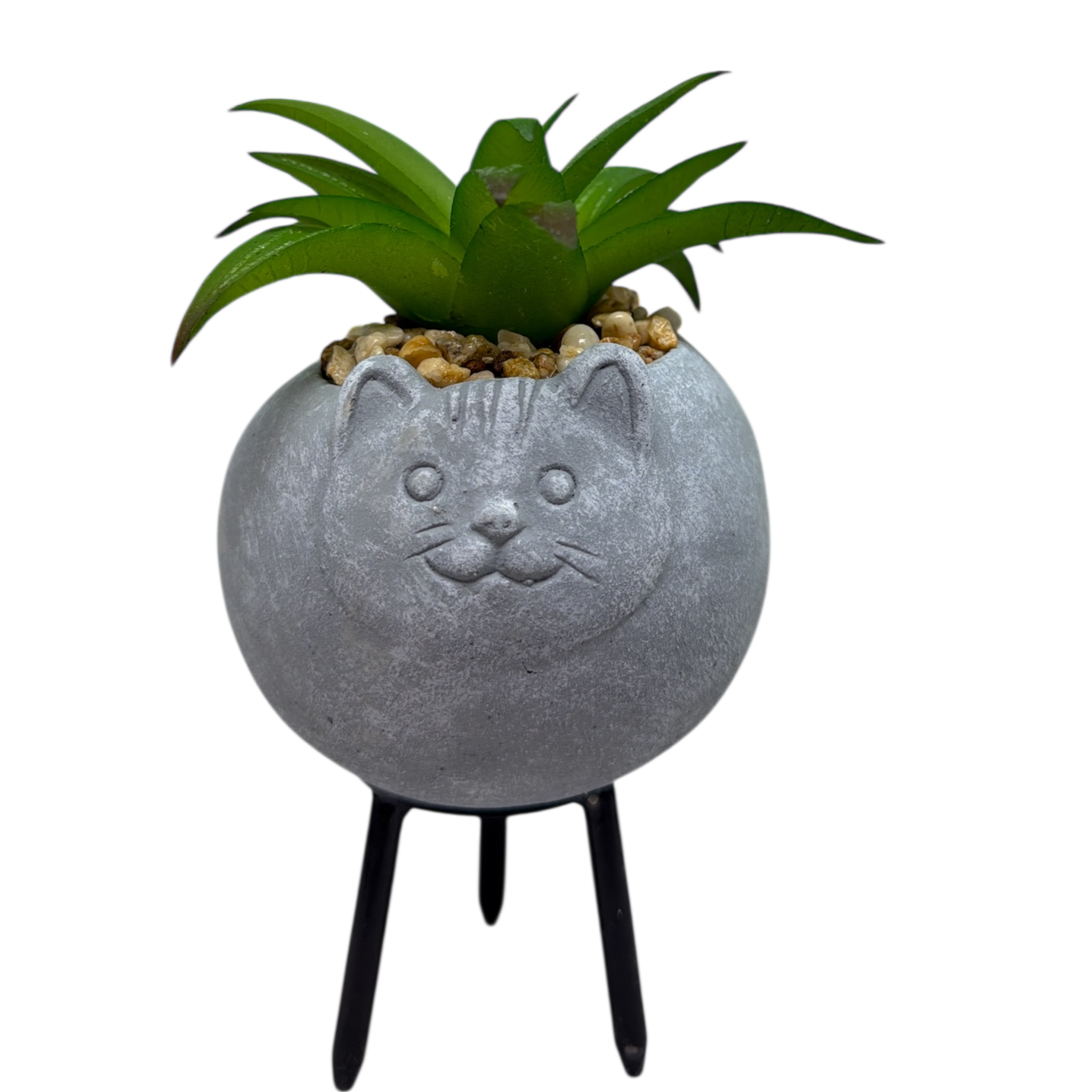 Faux Green Succulent In Planter - Cat