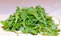 1000 Arugula Seeds - Non-GMO Heirloom Herb Seeds - Delicious Flavor