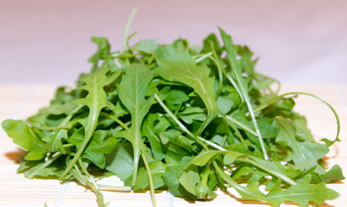 1000 Arugula Seeds - Non-GMO Heirloom Herb Seeds - Delicious Flavor