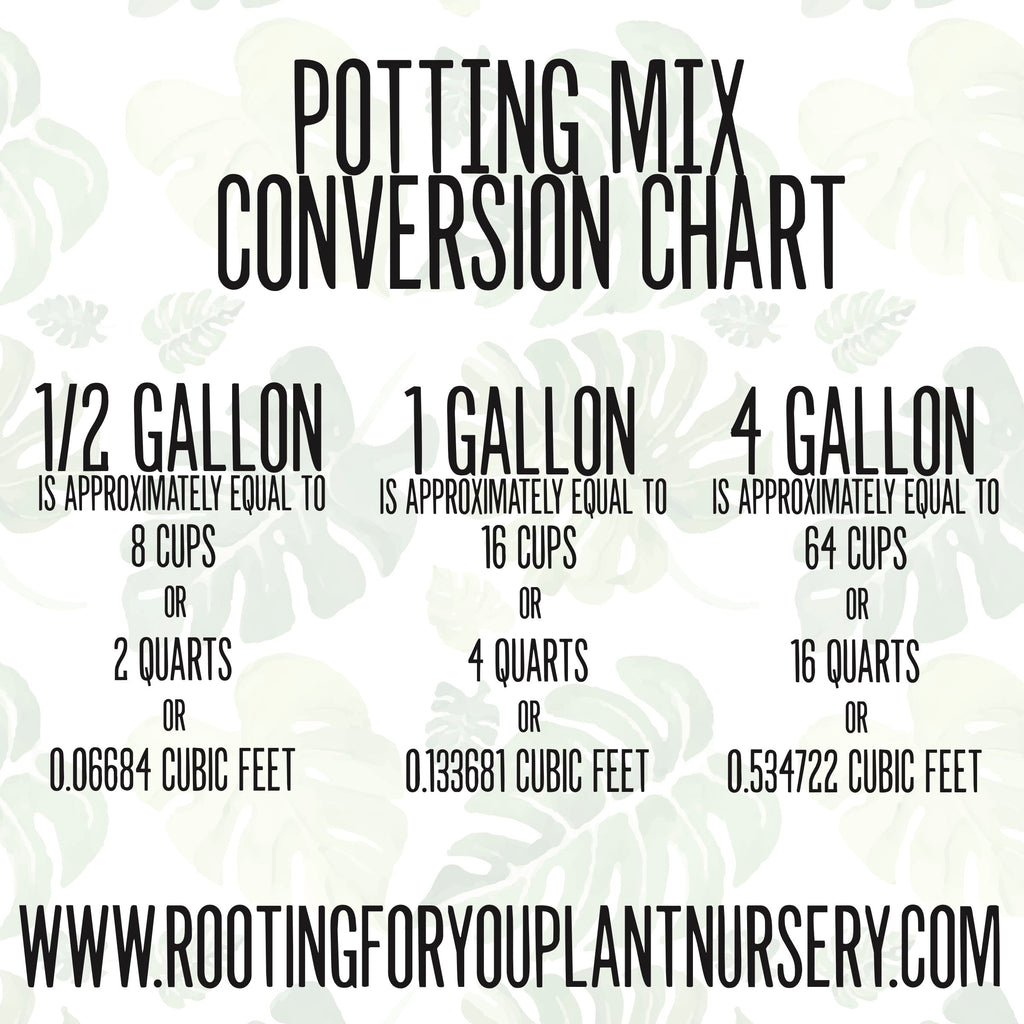 Dianthus Premium Potting Mix