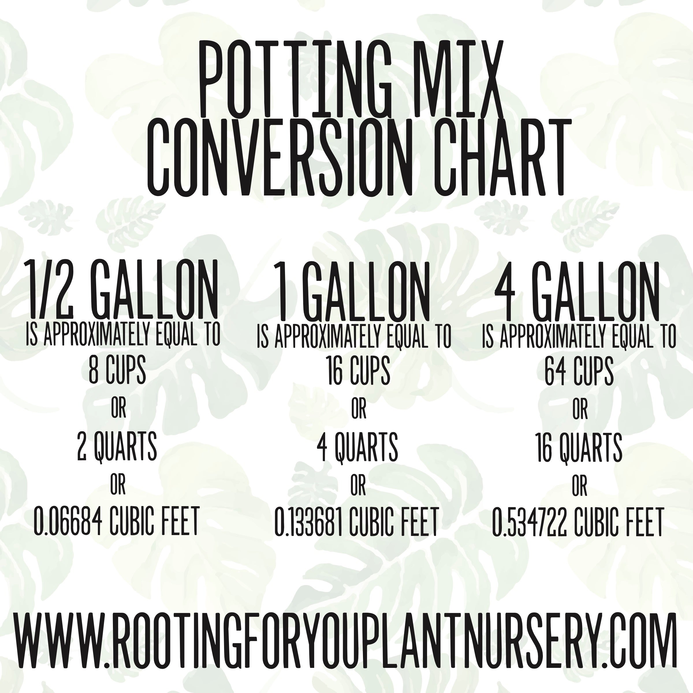GOLDFISH PLANT Premium Potting Mix