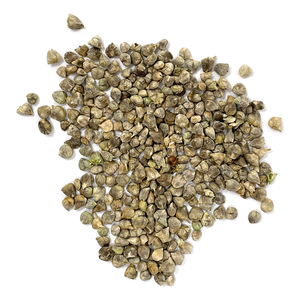Purely Organic Bloomsdale Long Standing Spinach Seeds - USDA Organic
