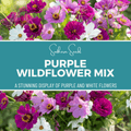 Purple Wildflower Seed Mix – 1,000 Seeds, Cosmos & Zinnia, Annual Flower Seeds for Garden, Bed, Container, USDA Zones All