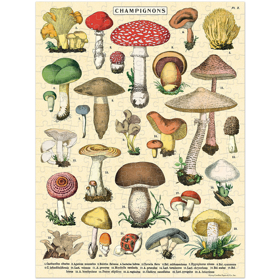 Mushroom Mini Puzzle | Cavallini & Co.