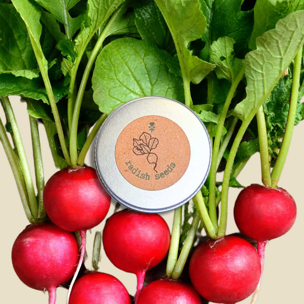 Organic Radish Seeds