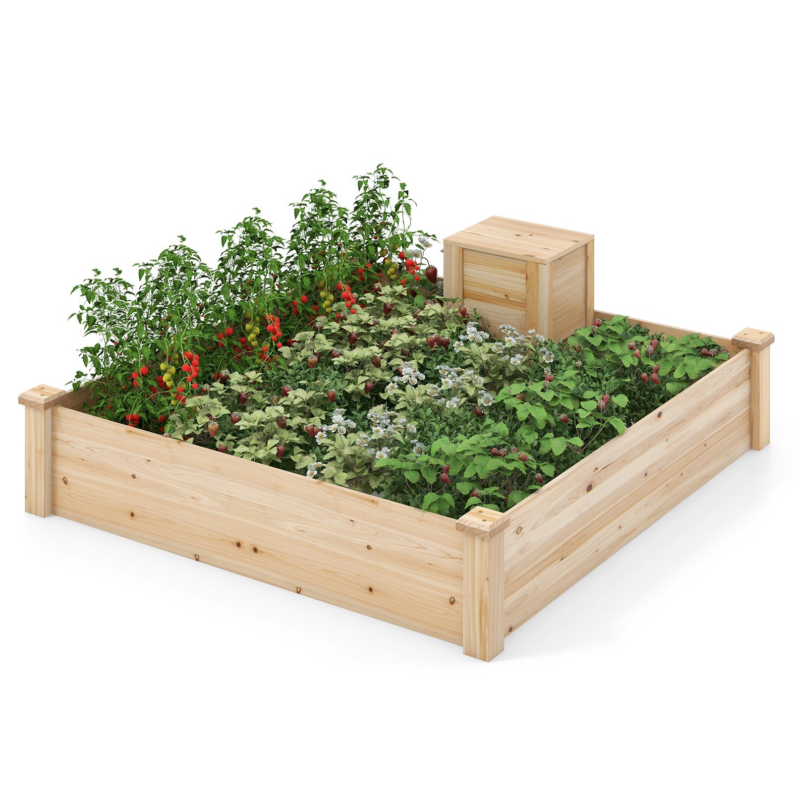 4x4 Wood Raised Garden Bed with Compost Bin in Middle