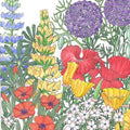 Regional Northwest Wildflower Mix (lb)